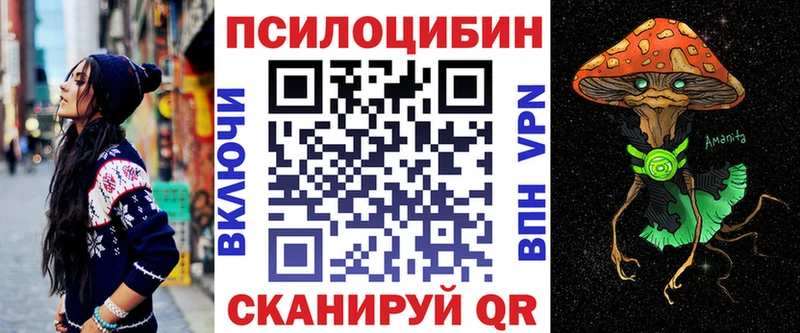 Купить где  Шатура  Псилоцибиновые грибы мицелий 